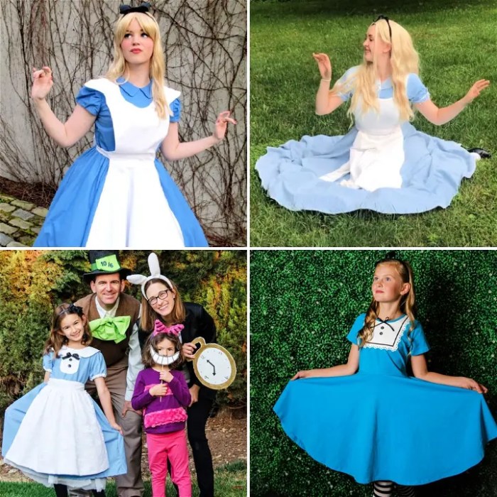 Alice in wonderland costume diy