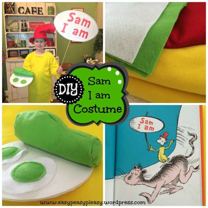 Sam i am costume diy