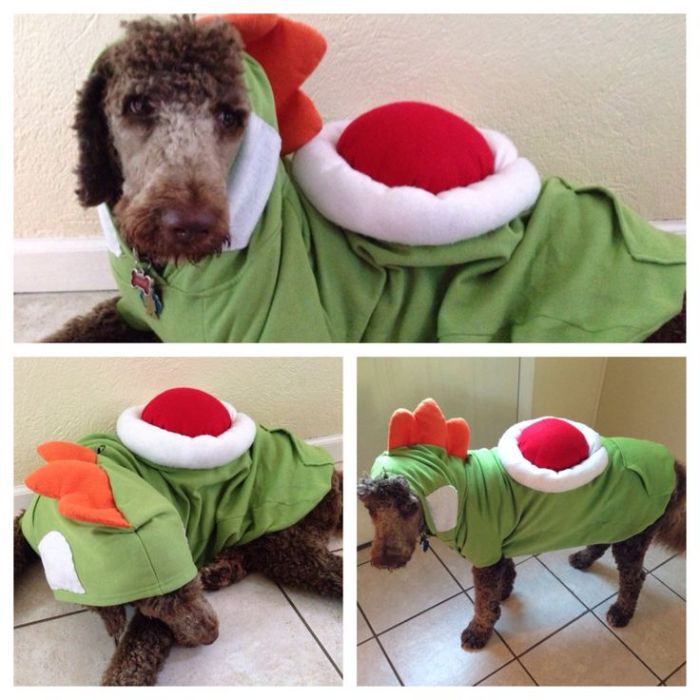 Yoshi halloween costume diy