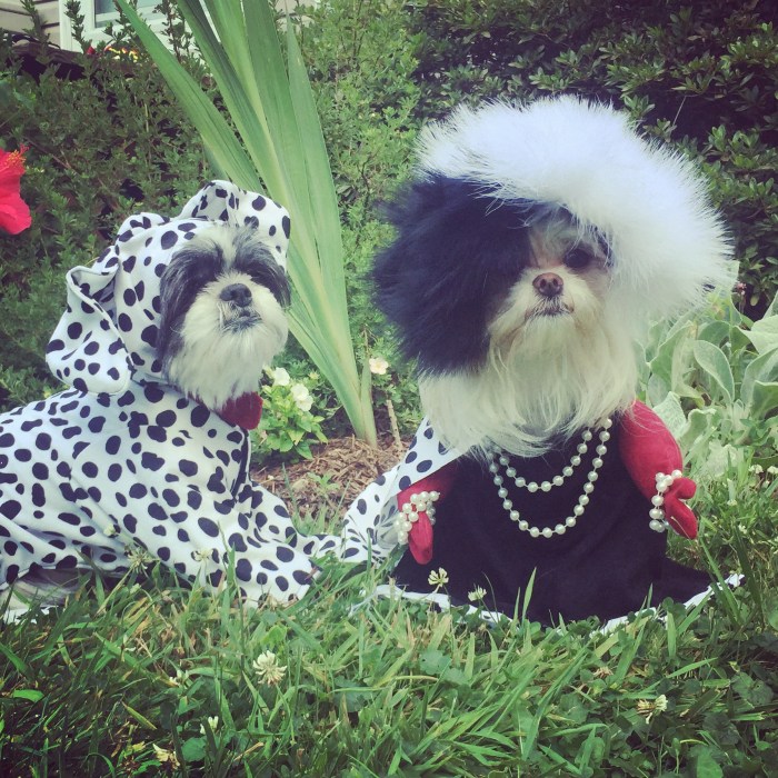 Diy dalmatian dog costume