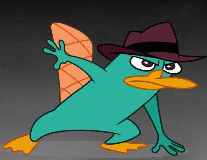 Perry the platypus costume diy