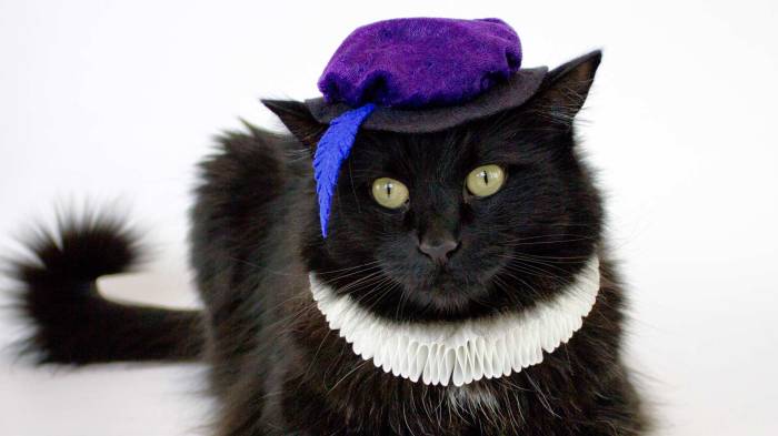 Diy costumes for cats